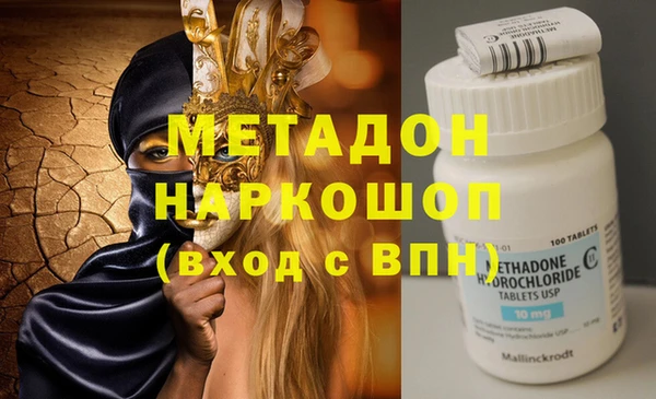 прущие грибы Аркадак