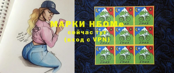 прущие грибы Аркадак