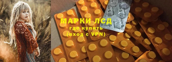 прущие грибы Аркадак